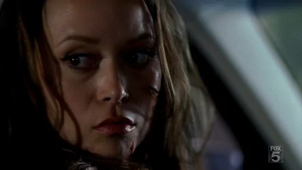 TV Show Terminator: The Sarah Connor Chronicles HD Desktop Wallpaper | Background Image