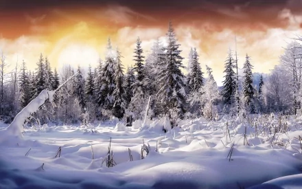 HD desktop wallpaper depicting a serene winter landscape with snow-covered trees under a stunning sunset sky, radiating natural beauty.