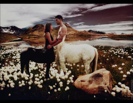 A fantasy HD PC desktop wallpaper featuring a romantic scene with a black-centaur woman and a white-centaur man standing in a field of white flowers by a lake.