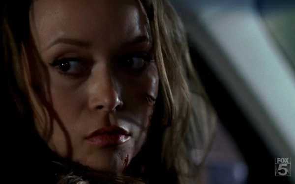 TV Show Terminator: The Sarah Connor Chronicles HD Desktop Wallpaper | Background Image