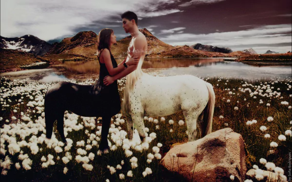 A fantasy HD PC desktop wallpaper featuring a romantic scene with a black-centaur woman and a white-centaur man standing in a field of white flowers by a lake.