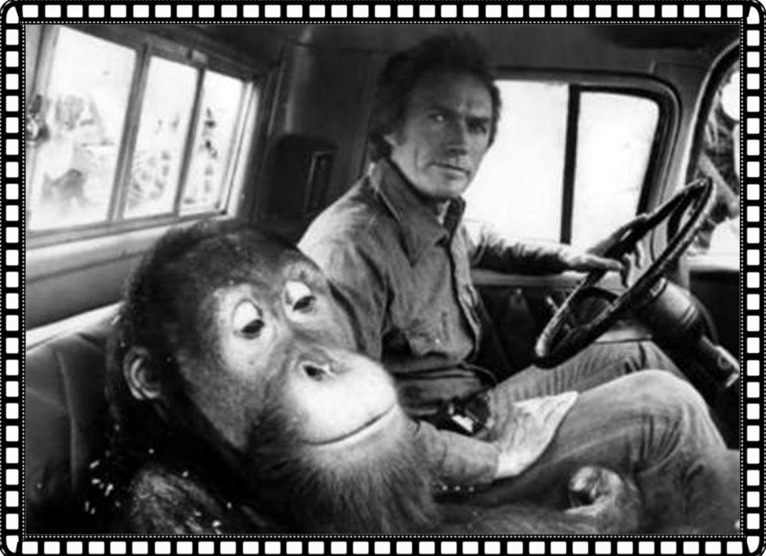 Black-and-white HD PC desktop wallpaper: film still from Every Which Way But Loose showing a man behind the wheel of a pickup with an orangutan in the passenger seat.