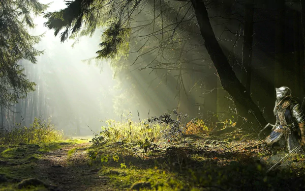 A fantasy-themed HD wallpaper featuring a knight standing amidst a sunlit forest, with beams of light filtering through the trees and casting a serene glow on the mossy ground.