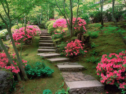 man made garden HD Desktop Wallpaper | Background Image