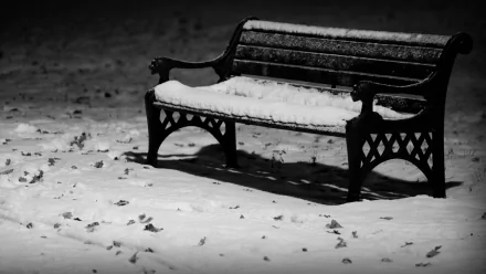 man made bench HD Desktop Wallpaper | Background Image
