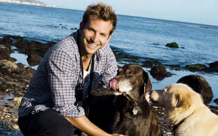 HD desktop wallpaper featuring American actor Bradley Cooper smiling and interacting with two dogs by a rocky seaside.