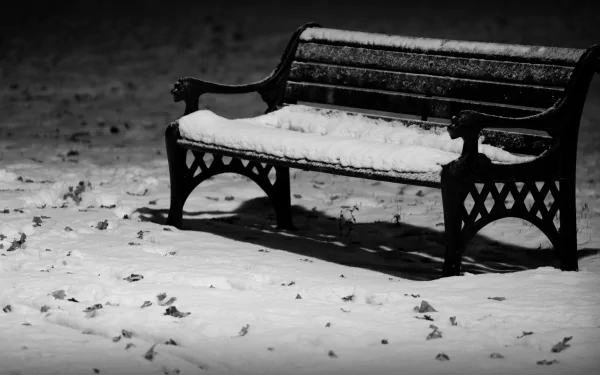 man made bench HD Desktop Wallpaper | Background Image