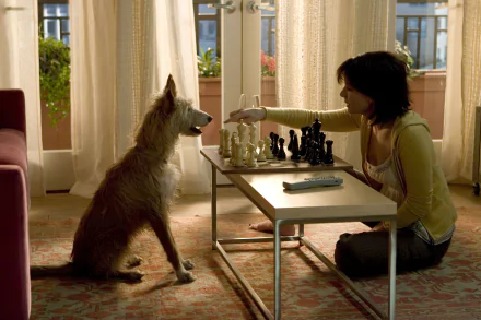 HD desktop wallpaper from the movie The Lake House featuring Sandra Bullock playing chess with a dog by the window.