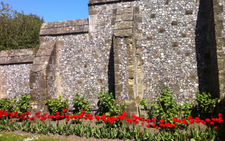 man made Arundel Castle HD Desktop Wallpaper | Background Image