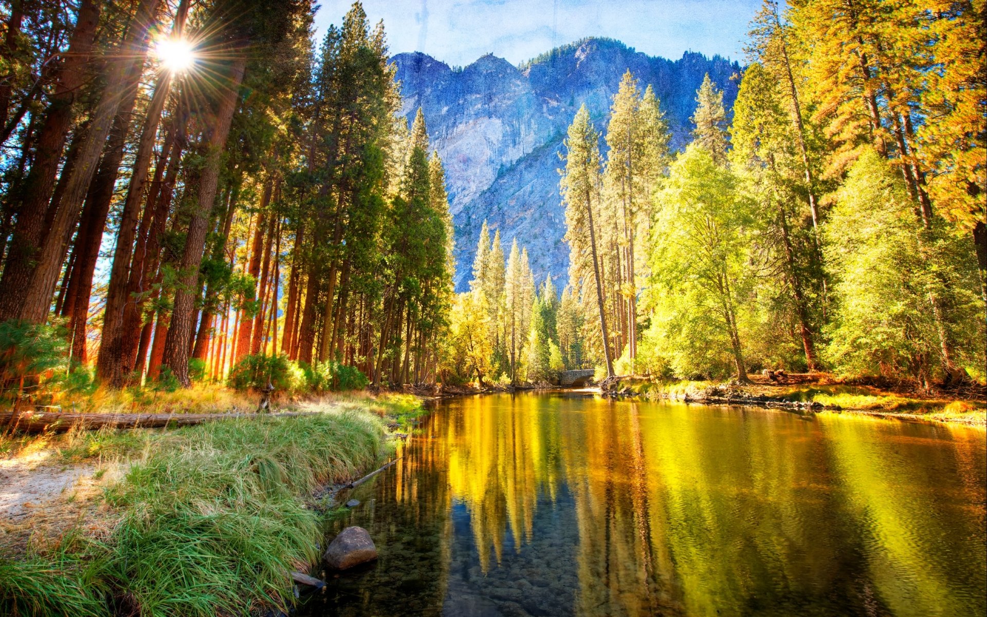 HD nature desktop wallpaper featuring a serene river flowing through a sunlit forest with tall trees and mountains in the background.