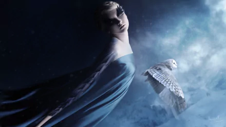 HD desktop wallpaper featuring a fantastical scene with a woman and a white owl in a mystical, snowy environment.