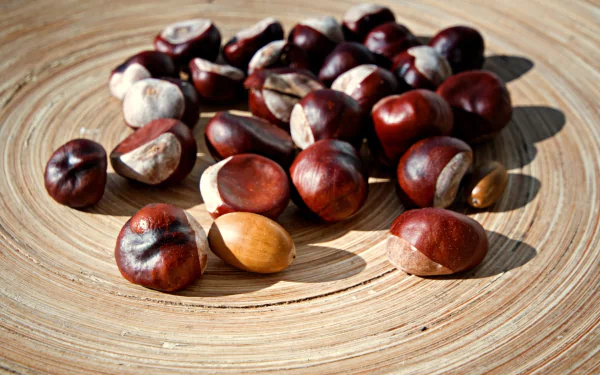 HD PC desktop wallpaper of glossy brown chestnuts scattered on a textured wooden platter, a nature-themed background.