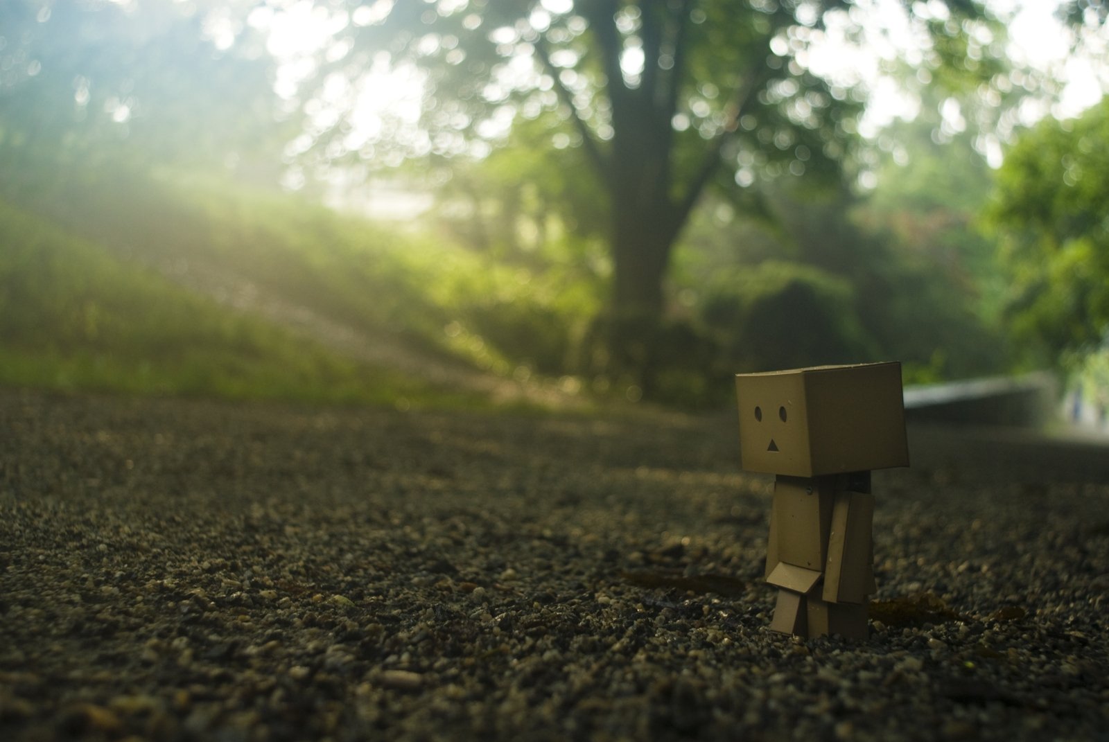 HD PC desktop wallpaper featuring a small Danbo figure standing on a gravel path with sunlight streaming through trees in a serene outdoor scene.