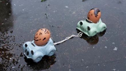 funny egg HD Desktop Wallpaper | Background Image
