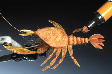 fishing Sports HD Desktop Wallpaper | Background Image