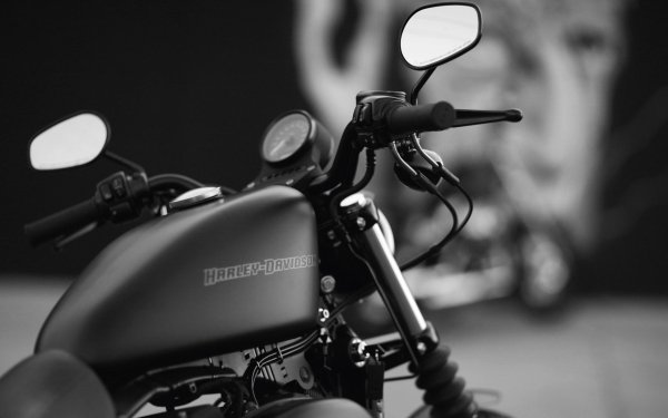 Harley-Davidson XL 883N - Desktop Wallpapers, Phone Wallpaper, PFP ...