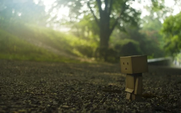 HD PC desktop wallpaper featuring a small Danbo figure standing on a gravel path with sunlight streaming through trees in a serene outdoor scene.