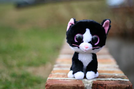 HD PC desktop wallpaper featuring a man-made Beanie Boos plush toy of a black and white cat with large eyes sitting on a brick ledge outdoors.