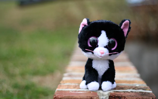 HD PC desktop wallpaper featuring a man-made Beanie Boos plush toy of a black and white cat with large eyes sitting on a brick ledge outdoors.