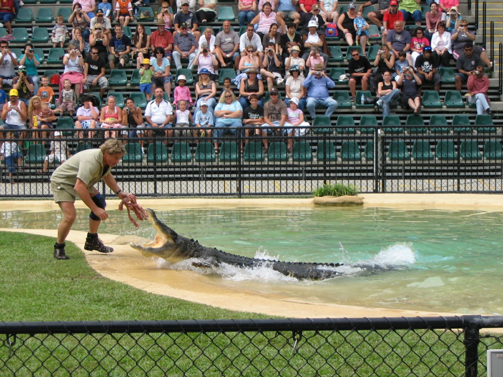 Steve Irwin Wallpaper by brizzledood