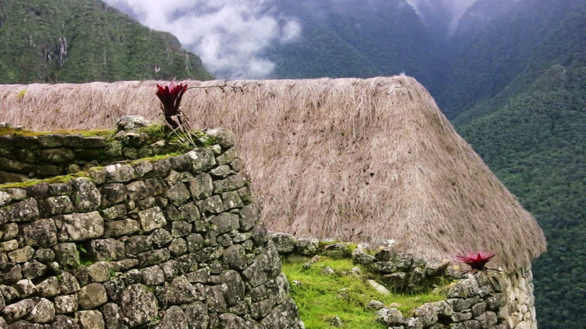 Download Man Made Machu Picchu HD Wallpaper