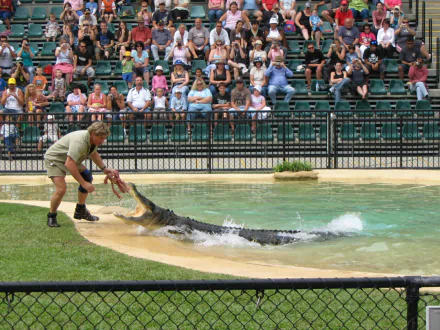 Celebrity Steve Irwin HD Desktop Wallpaper | Background Image
