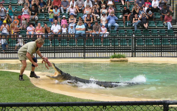 Celebrity Steve Irwin HD Desktop Wallpaper | Background Image