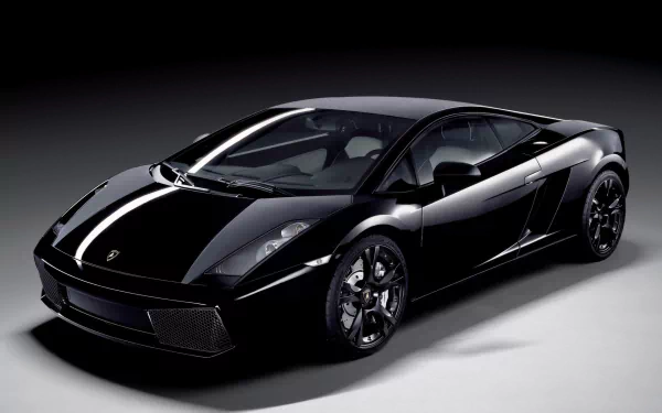 A sleek black Lamborghini Gallardo showcased in a stylish pose, set against a dark background, making it a striking HD wallpaper for car enthusiasts.