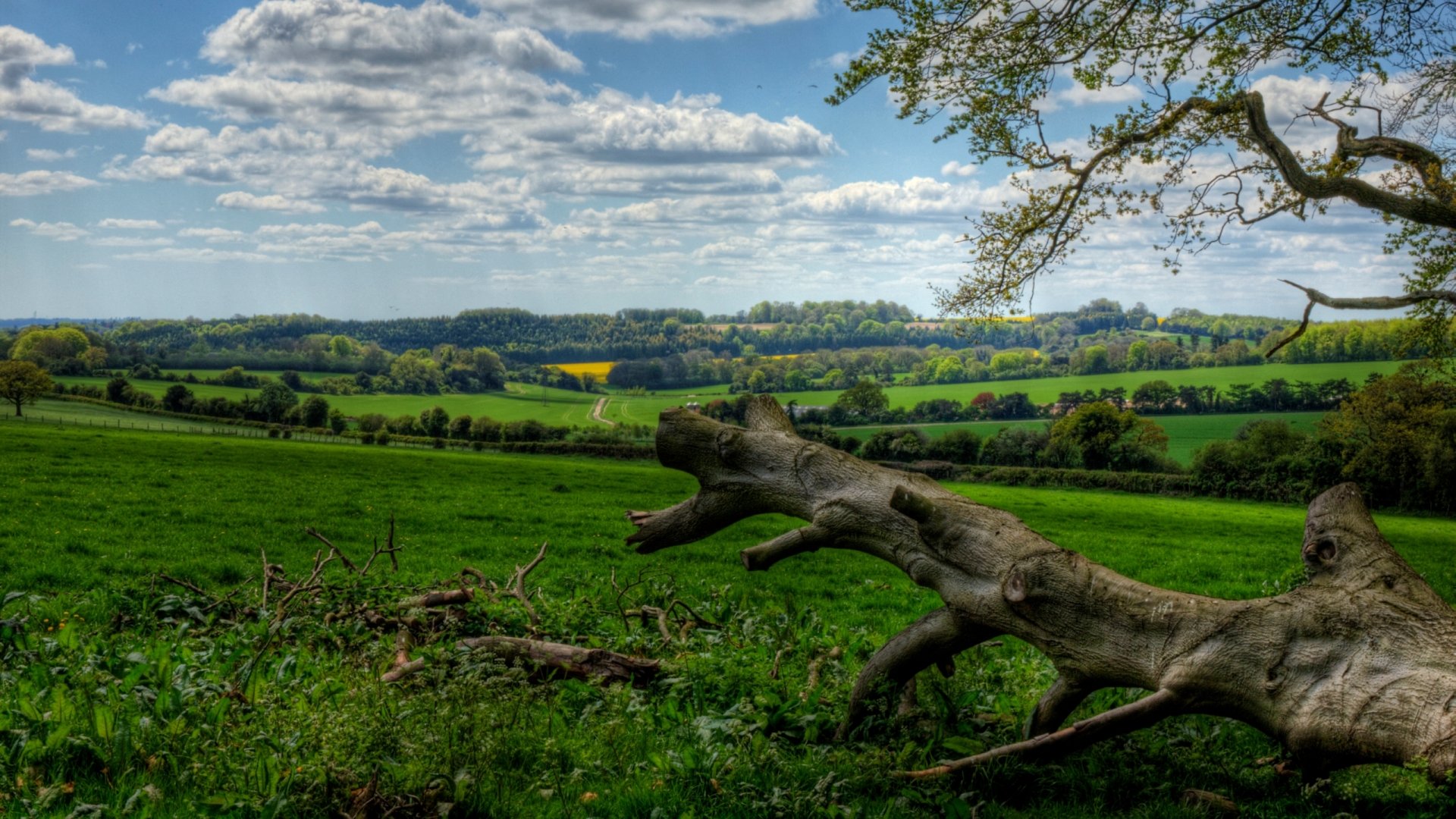 HD desktop wallpaper showing a vibrant landscape with rolling green hills, scattered trees, and a partly cloudy sky, capturing the beauty of nature.