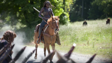 Danai Gurira Michonne (The Walking Dead) TV Show The Walking Dead HD Desktop Wallpaper | Background Image