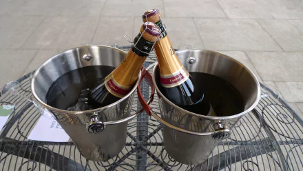 food champagne HD Desktop Wallpaper | Background Image