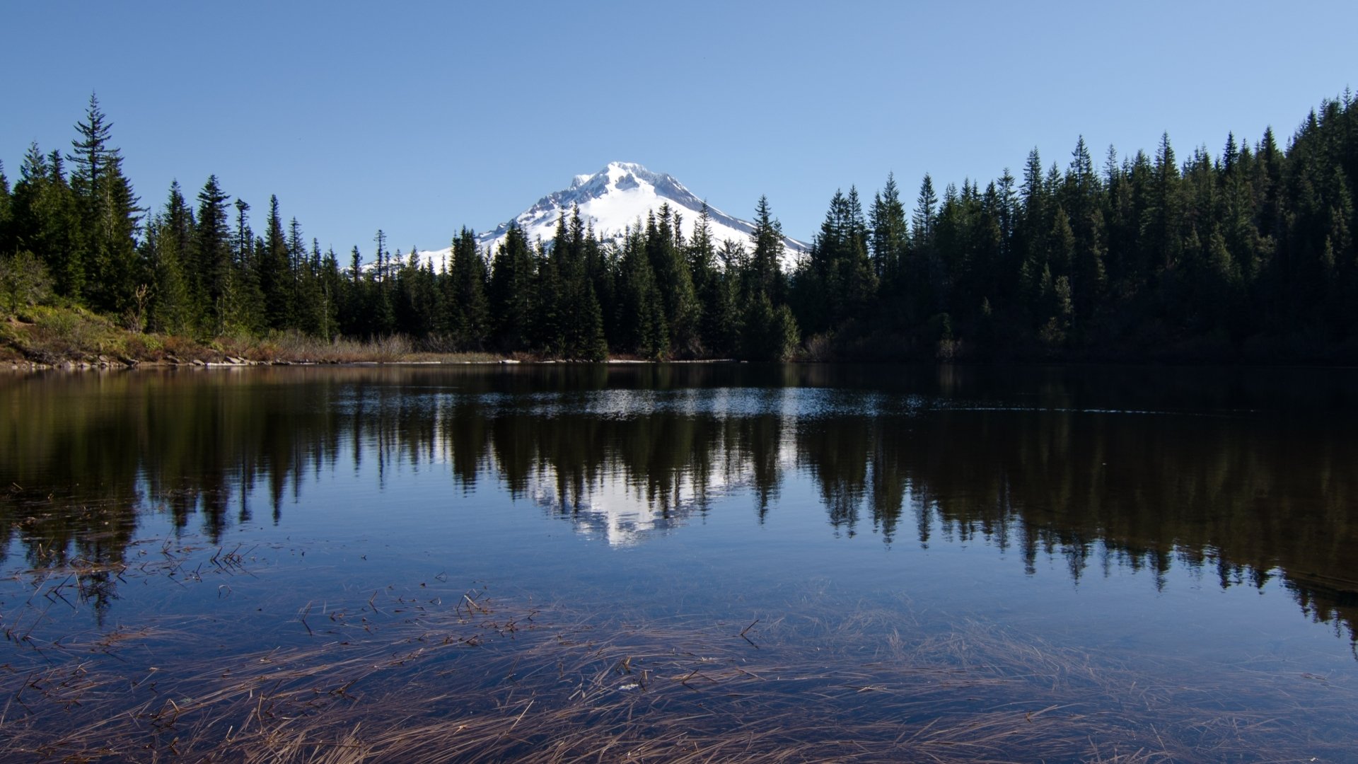 Download Nature Mount Hood HD Wallpaper