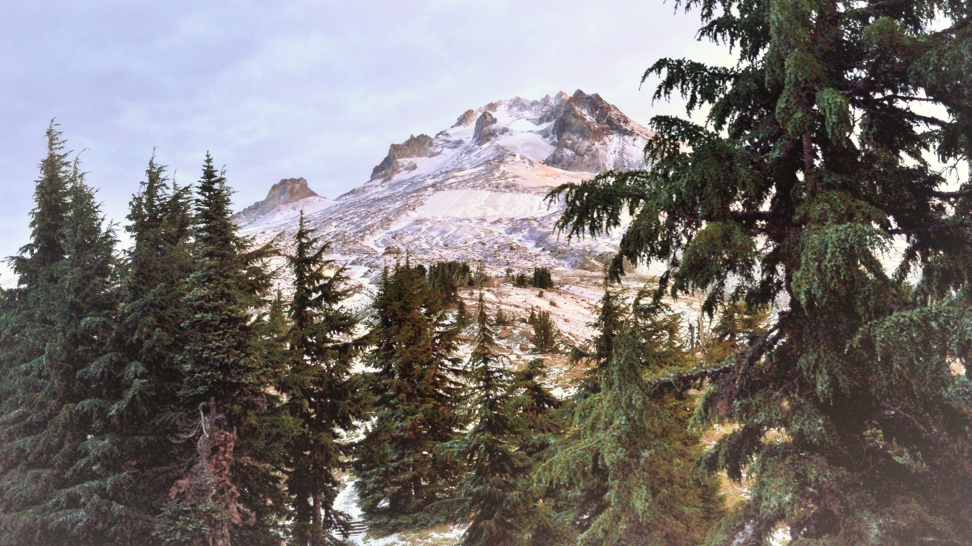 Download Nature Mount Hood HD Wallpaper