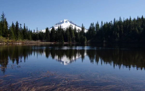 Nature HD PC desktop wallpaper background: snow-capped Mount Hood reflected in a calm alpine lake, framed by evergreen forest under a clear blue sky.