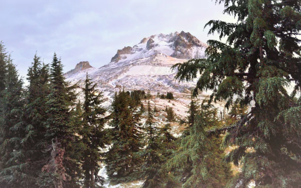 nature Mount Hood HD Desktop Wallpaper | Background Image