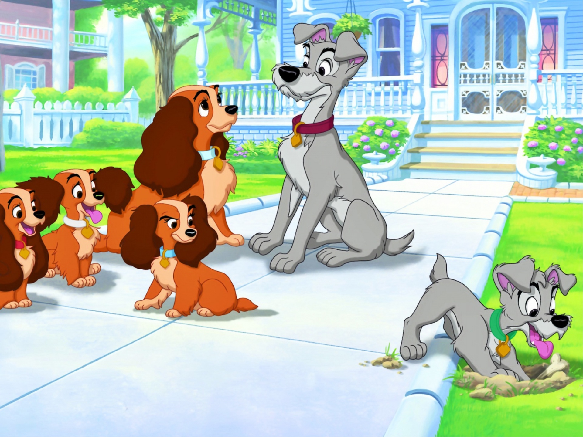 Movie Lady and the Tramp II: Scamp's Adventure HD Wallpaper