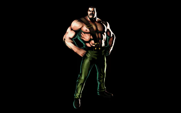 mike haggar video game Marvel vs. Capcom HD Desktop Wallpaper | Background Image
