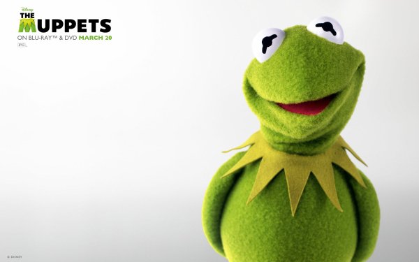 Movie The Muppets Kermit the Frog HD Wallpaper | Background Image
