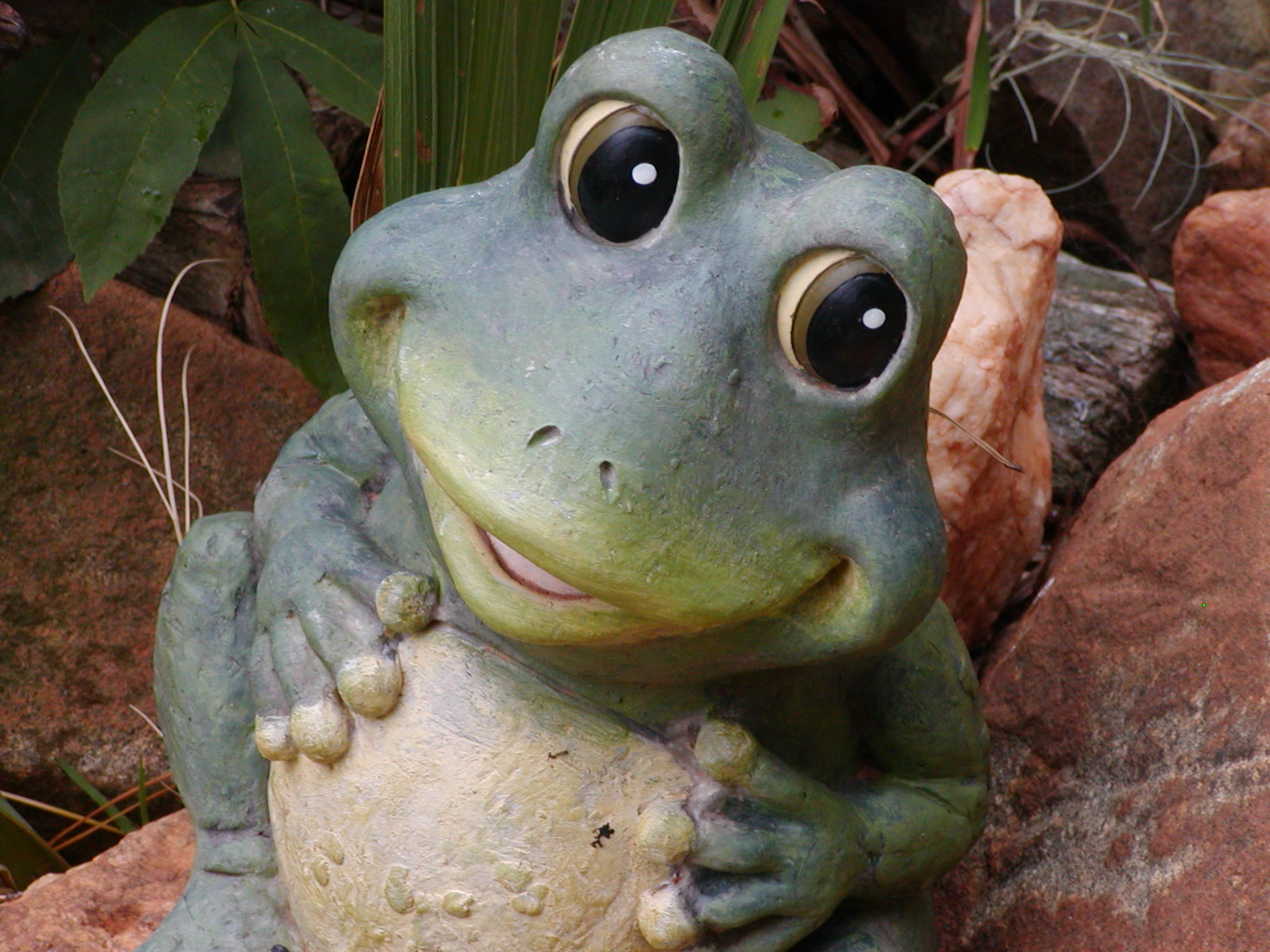 Frog garden statue in HD desktop wallpaper.