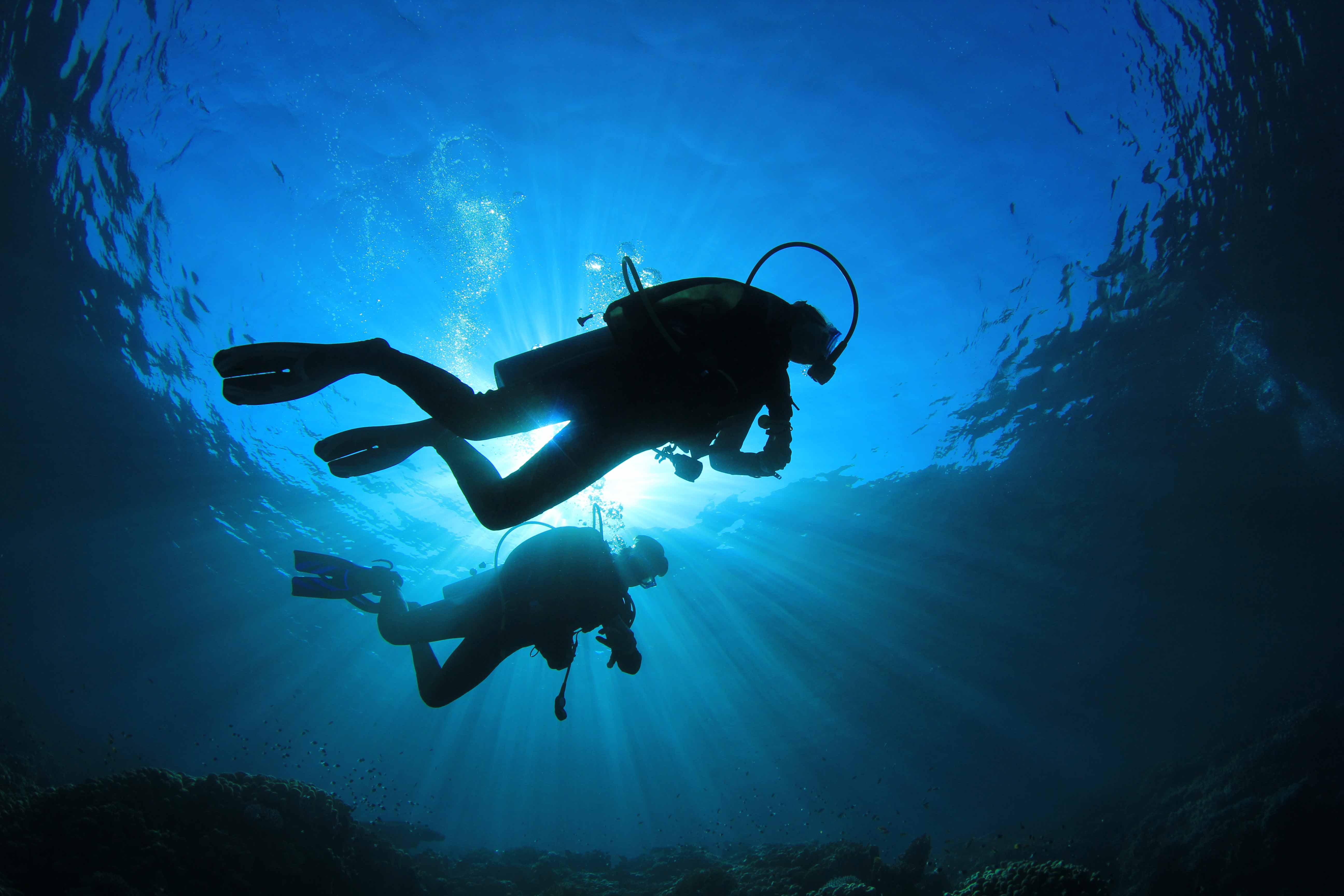 Sports Scuba diving HD Wallpaper | Background Image