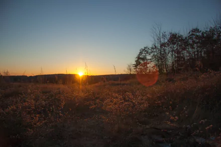  fall sunset
