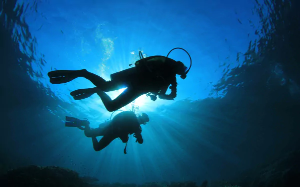 scuba diving Sports HD Desktop Wallpaper | Background Image