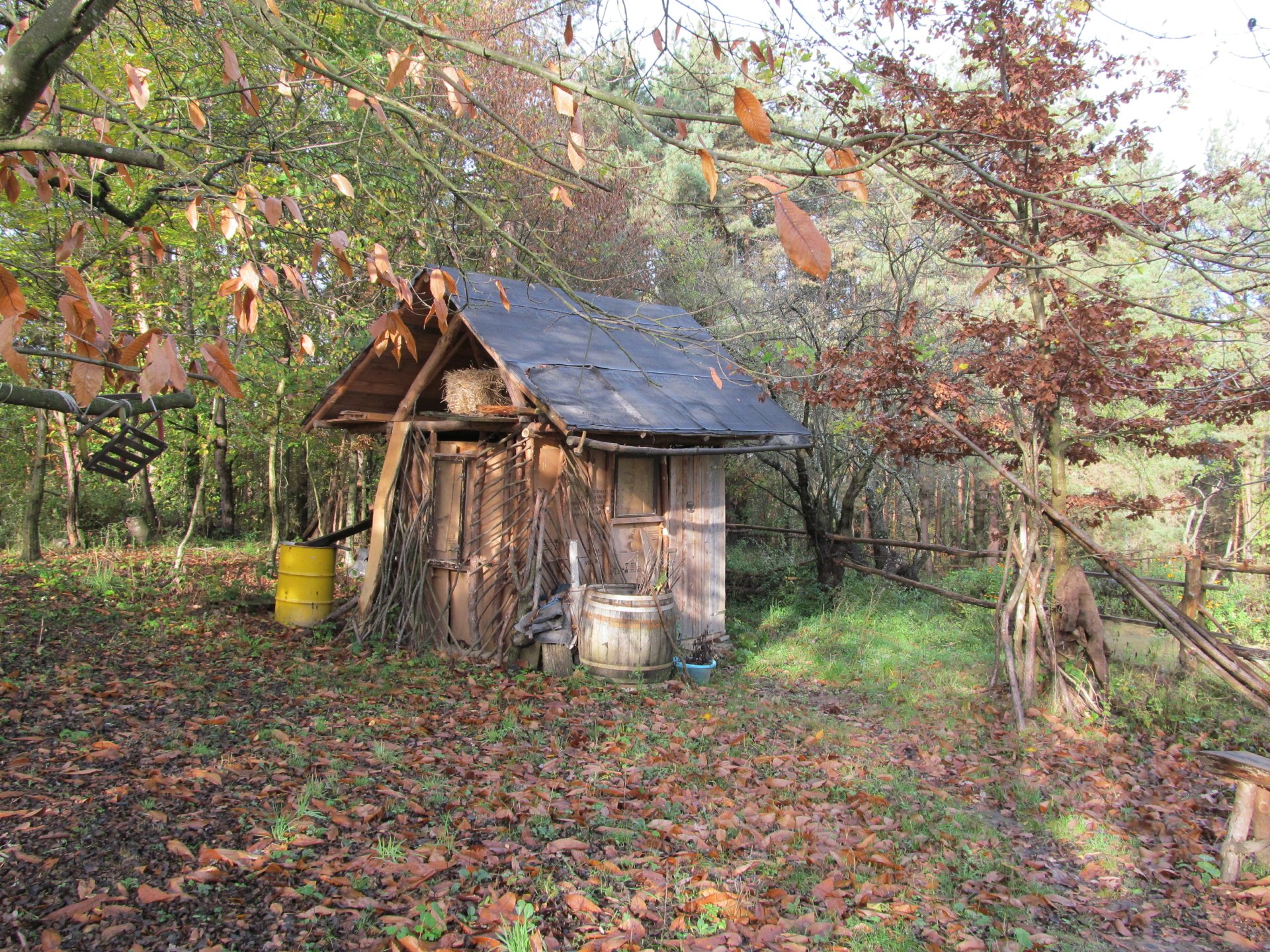 Download Man Made Cabin 4k Ultra HD Wallpaper by AlphaSystem