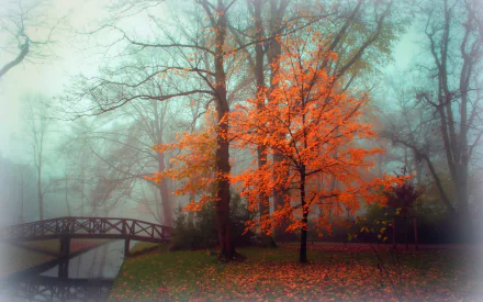 A serene park scene featuring an orange tree amid fog, with a wooden bridge in the background, creating a tranquil atmosphere for an HD desktop wallpaper.