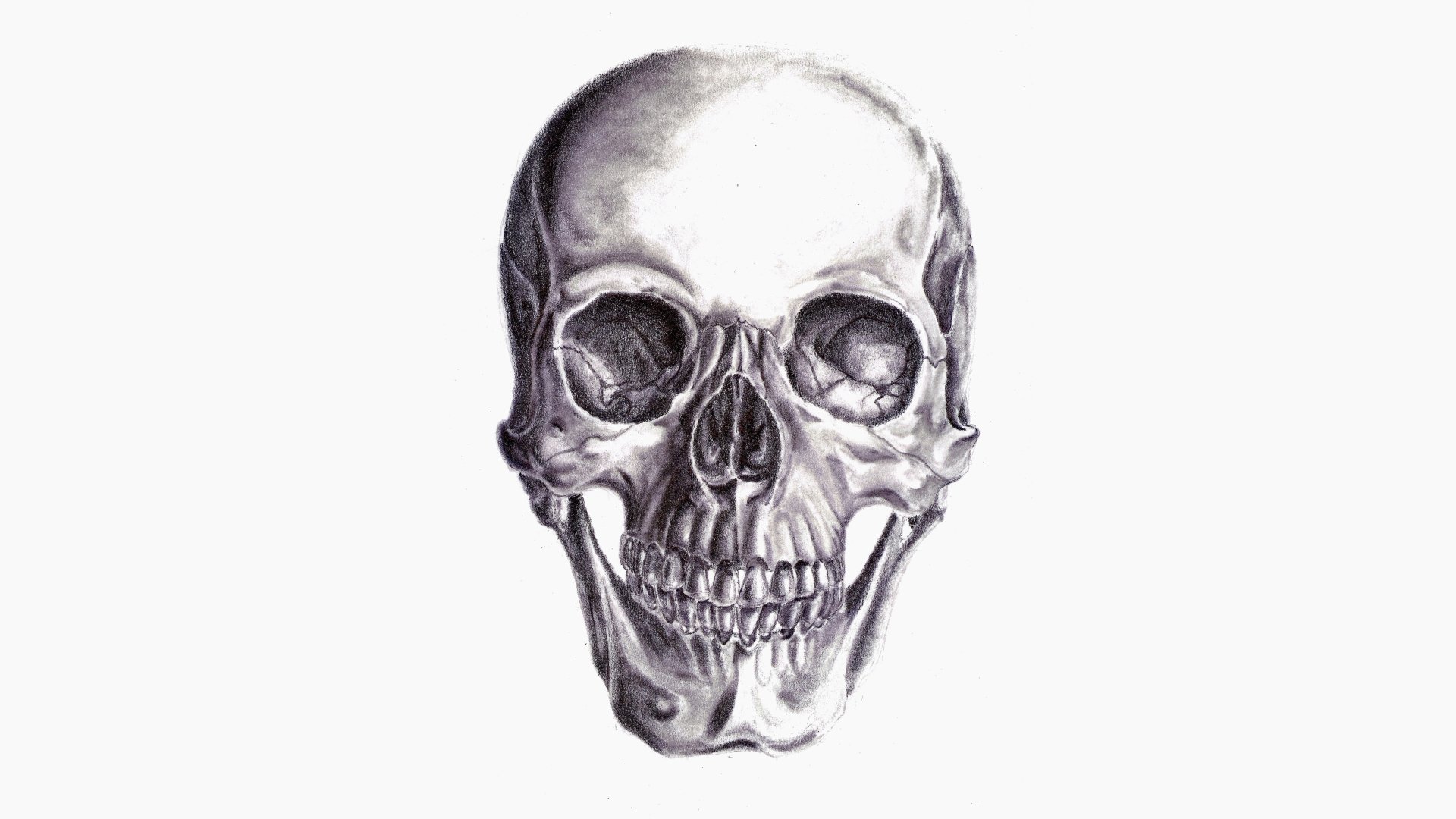 Dark, high-detail skull illustration on white background — 8K Ultra HD PC desktop wallpaper/background.