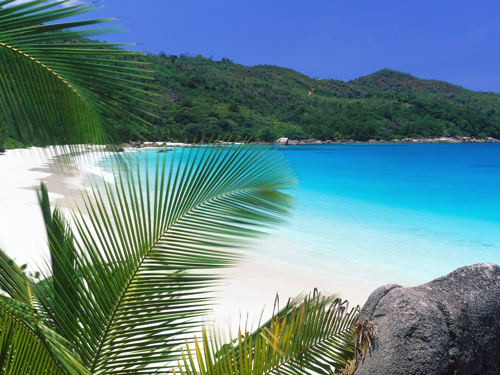 Tranquil Beach: A Stunning HD Wallpaper of Nature's Paradise ...