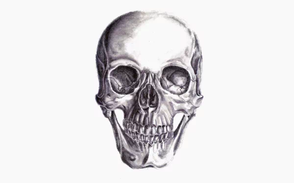dark skull HD Desktop Wallpaper | Background Image