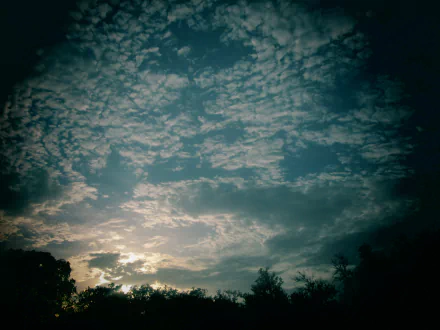 Nature, cloud scene: dramatic textured sky at sunset with silhouetted treeline — 4K Ultra HD PC desktop wallpaper and background.