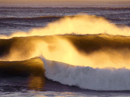 HD desktop wallpaper capturing rolling ocean waves and tide with golden sunlight illuminating the crest, showcasing the dynamic beauty of nature's ocean waves.