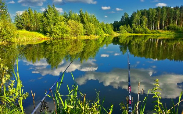 Sports Fishing River Nature HD Wallpaper | Background Image